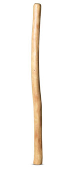 Medium Size Natural Finish Didgeridoo (TW751)